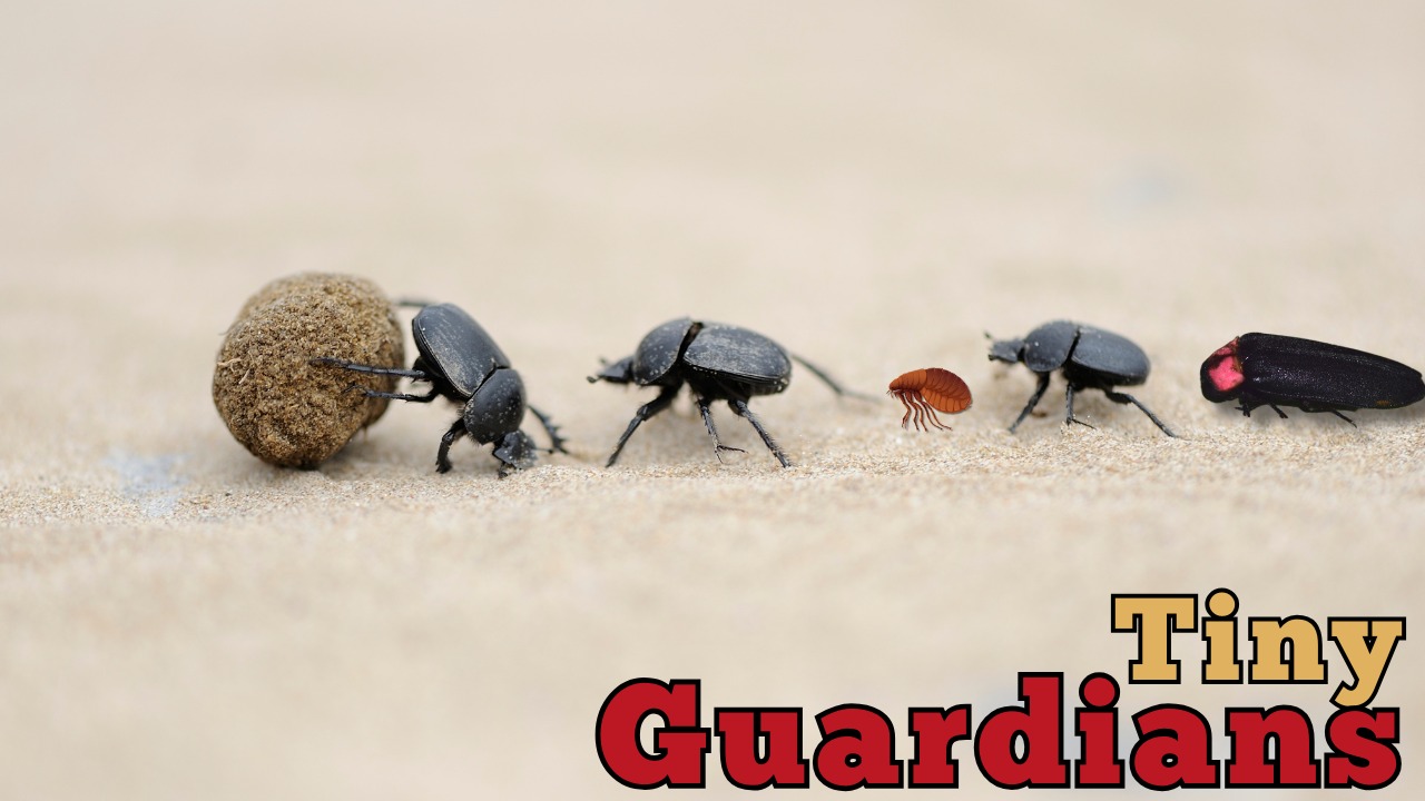 Get to know these insects! :) /... - Definitely Filipino | Facebook
