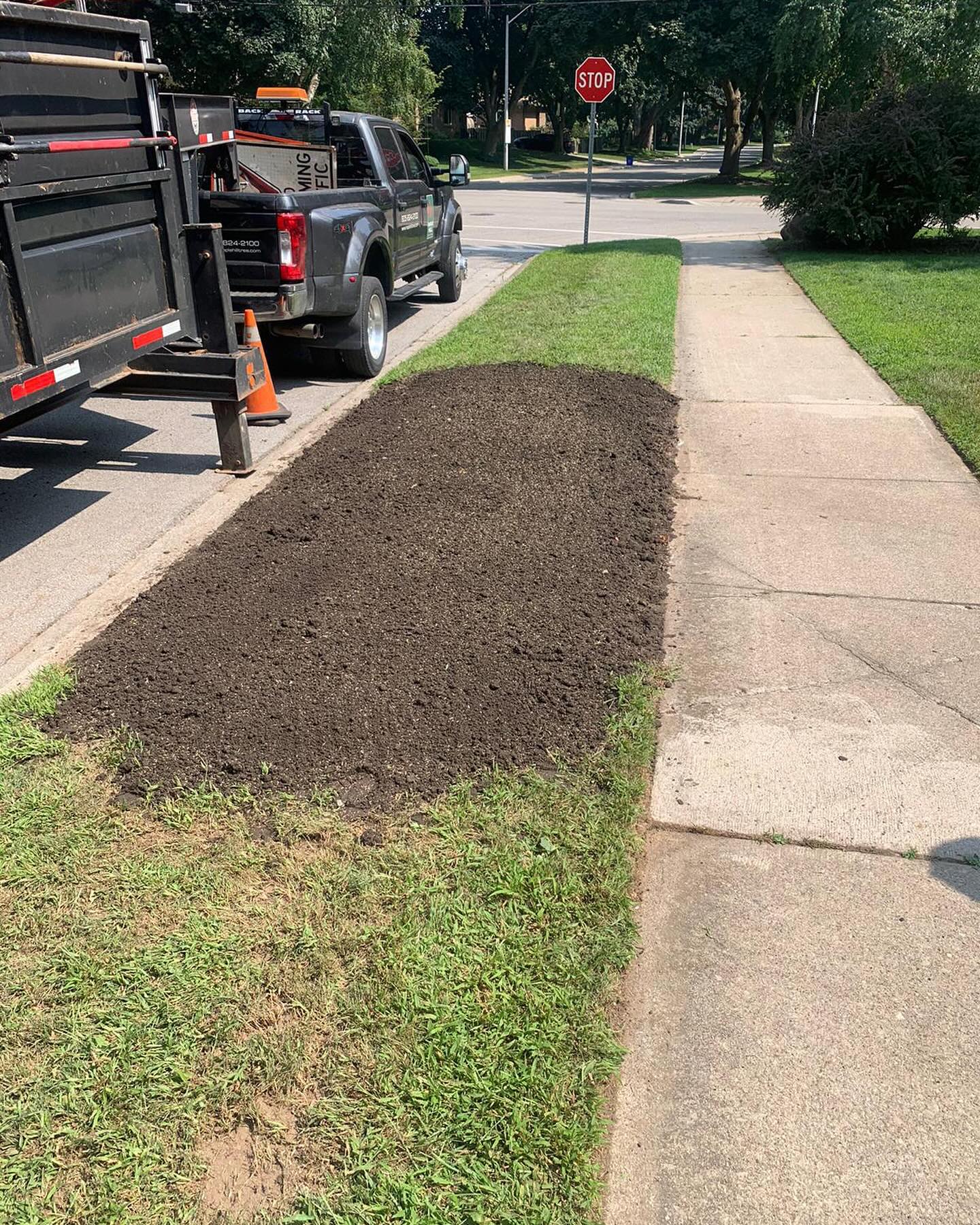 Maple Hill Tree Services | Burlington ON