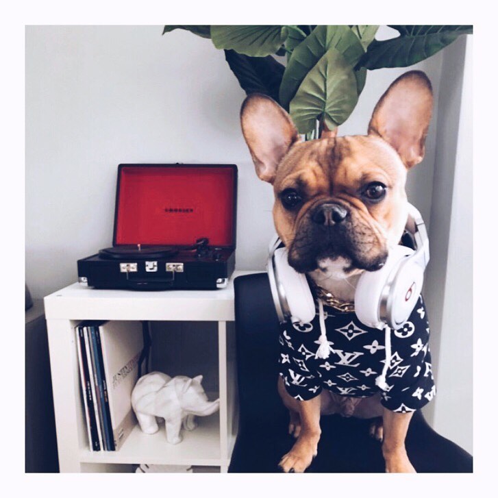 Paws Unit