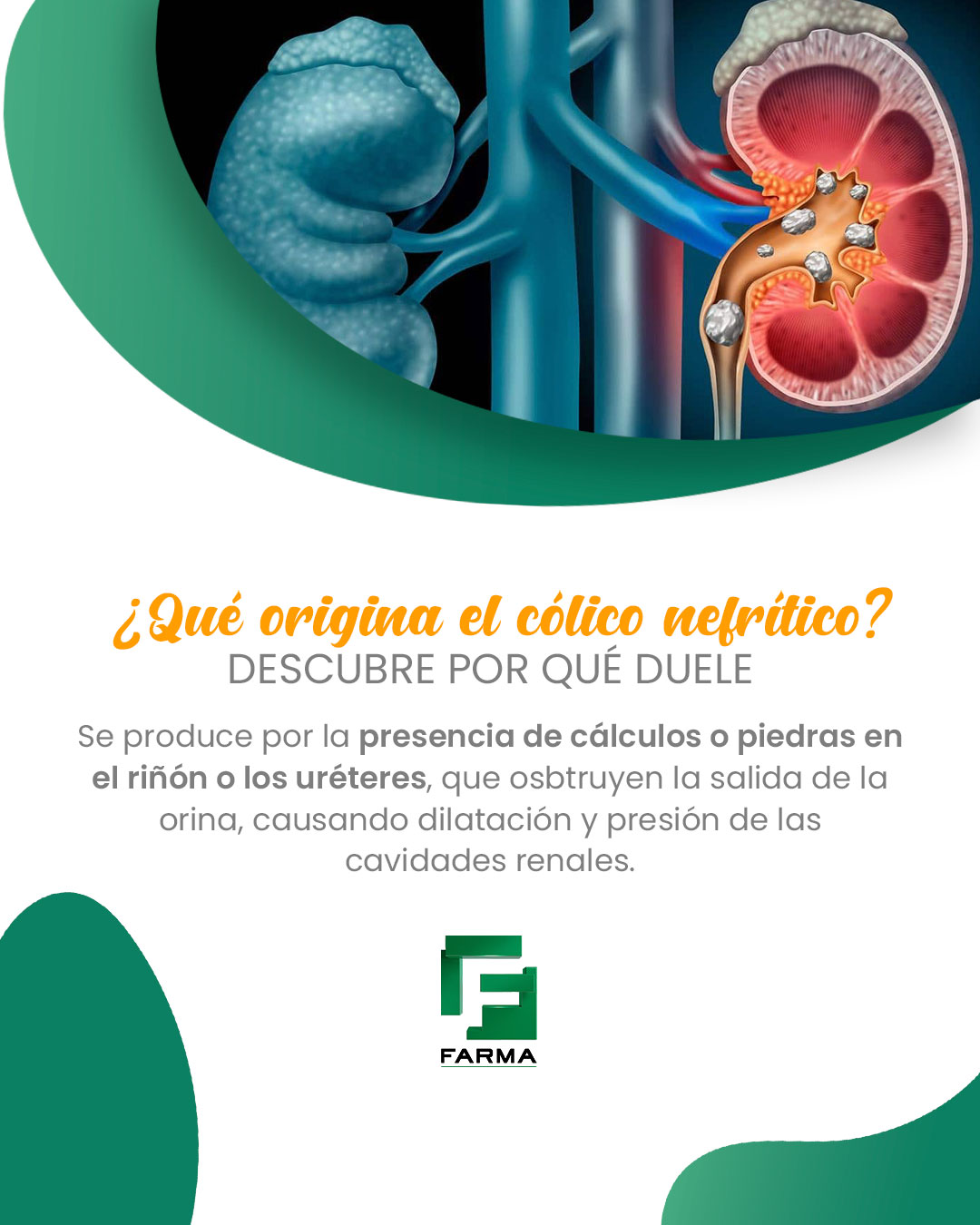 Laboratorios Farma - El Día Mundial del Riñón es una oportunidad para ...