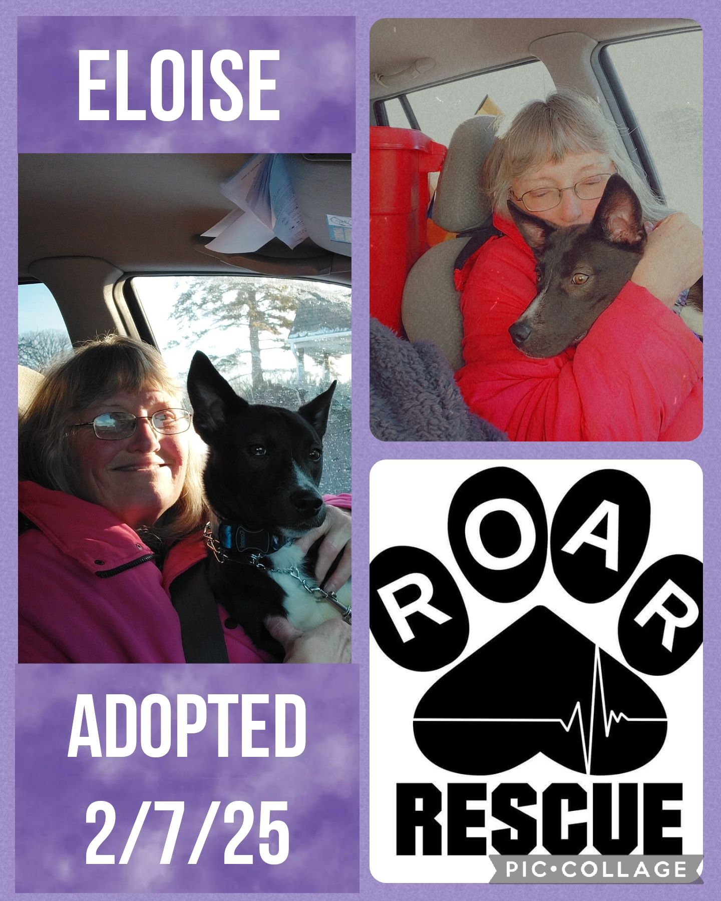 ROAR Rescue
