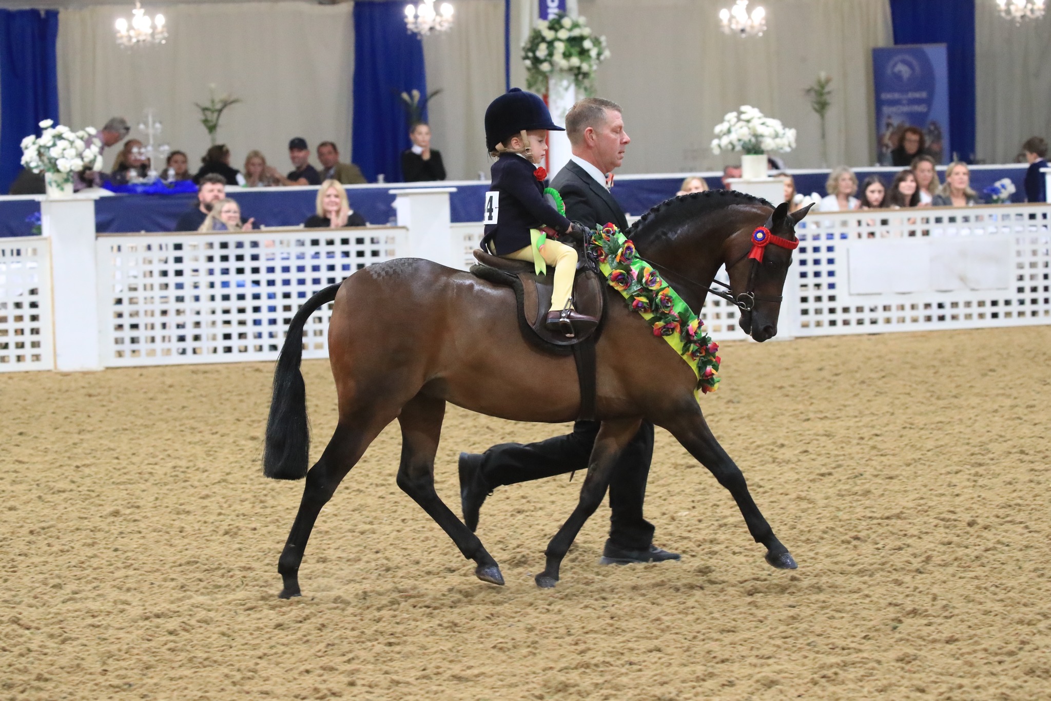 The final pre-entry numbers... - British Show Pony Society | Facebook
