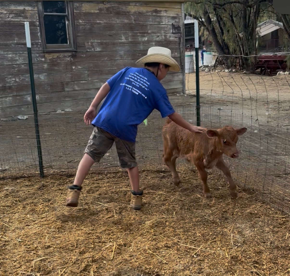Calicinto Ranch