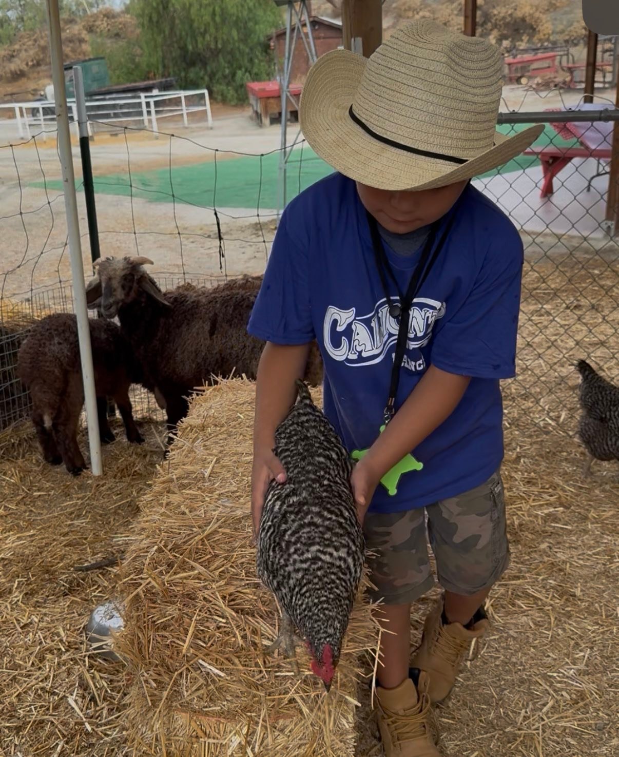 Calicinto Ranch