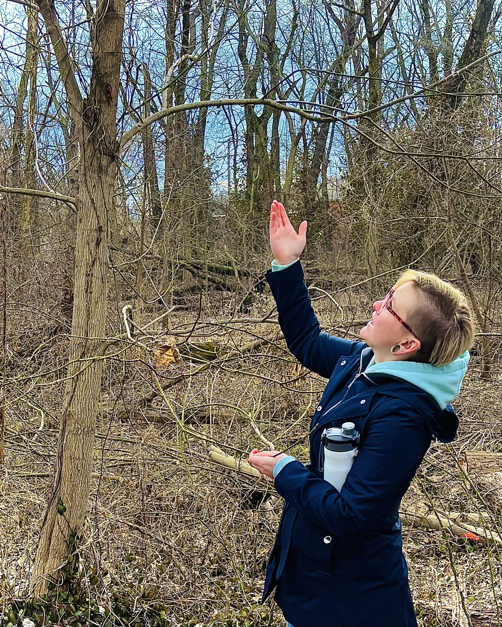 Springfield Audubon Society, Stewards of Adams Wildlife Sanctuary ...
