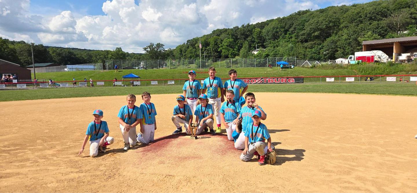 Bedford Area Youth Ball League