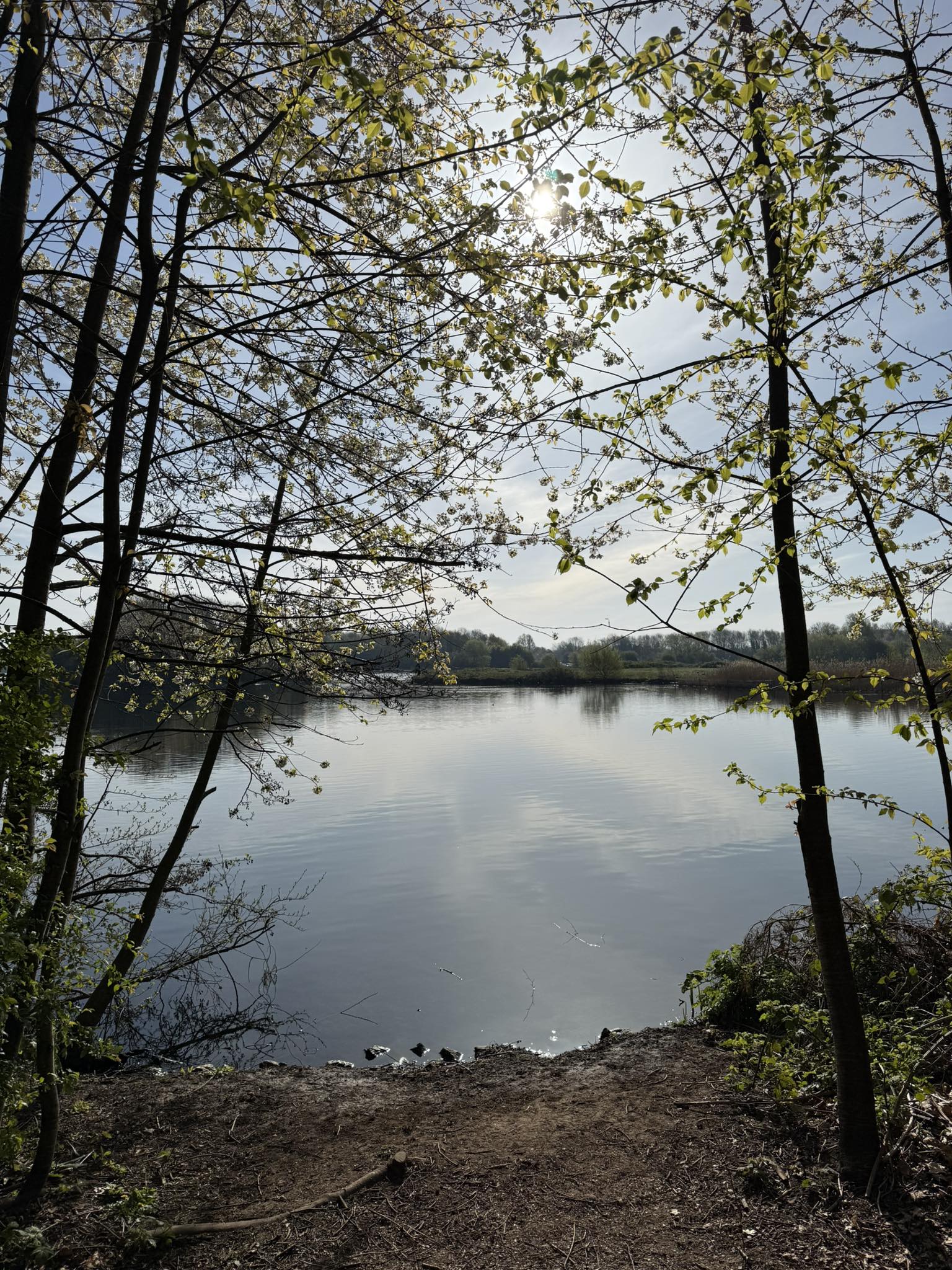 Colwick - Colwick park is looking stunning and there’s only one sleep ...