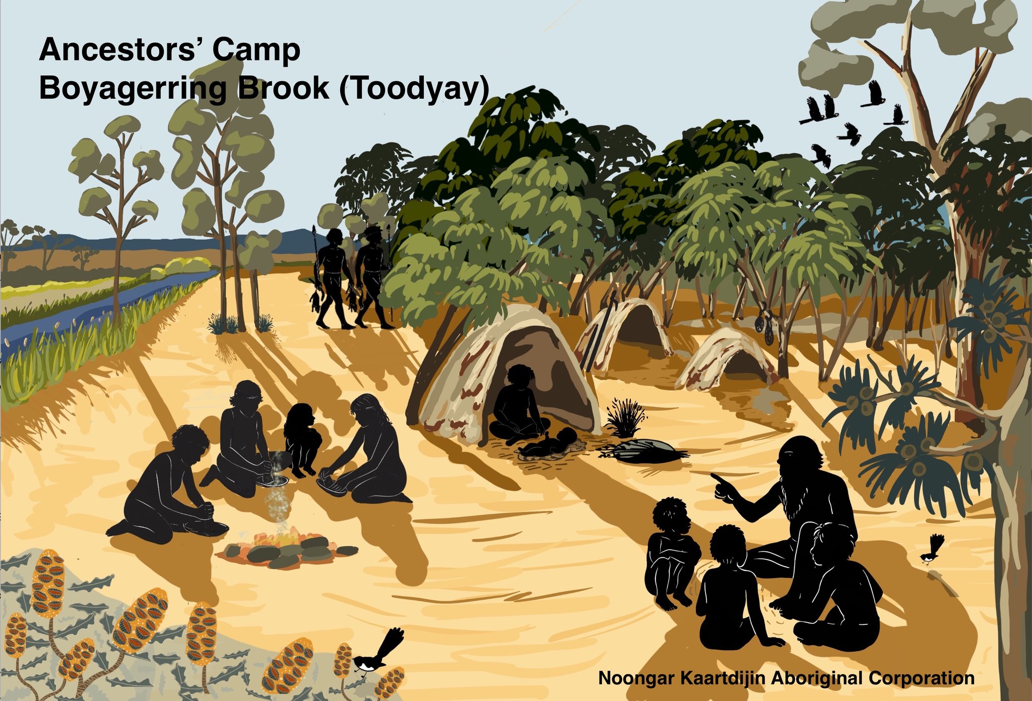 Noongar... - Noongar Kaartdijin Aboriginal Corporation