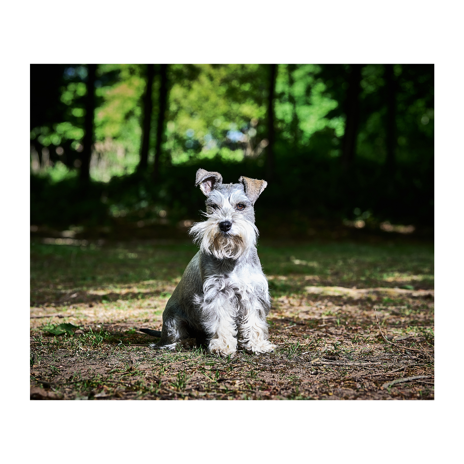 Jamie Garbutt Photography