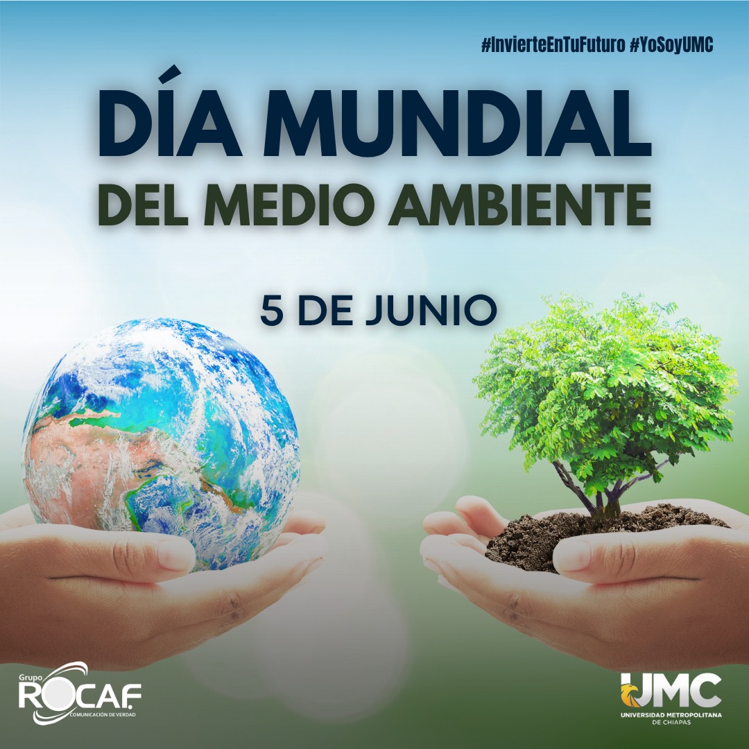 IMC - Este 5 de junio, en el Día Mundial del Medio Ambiente ...