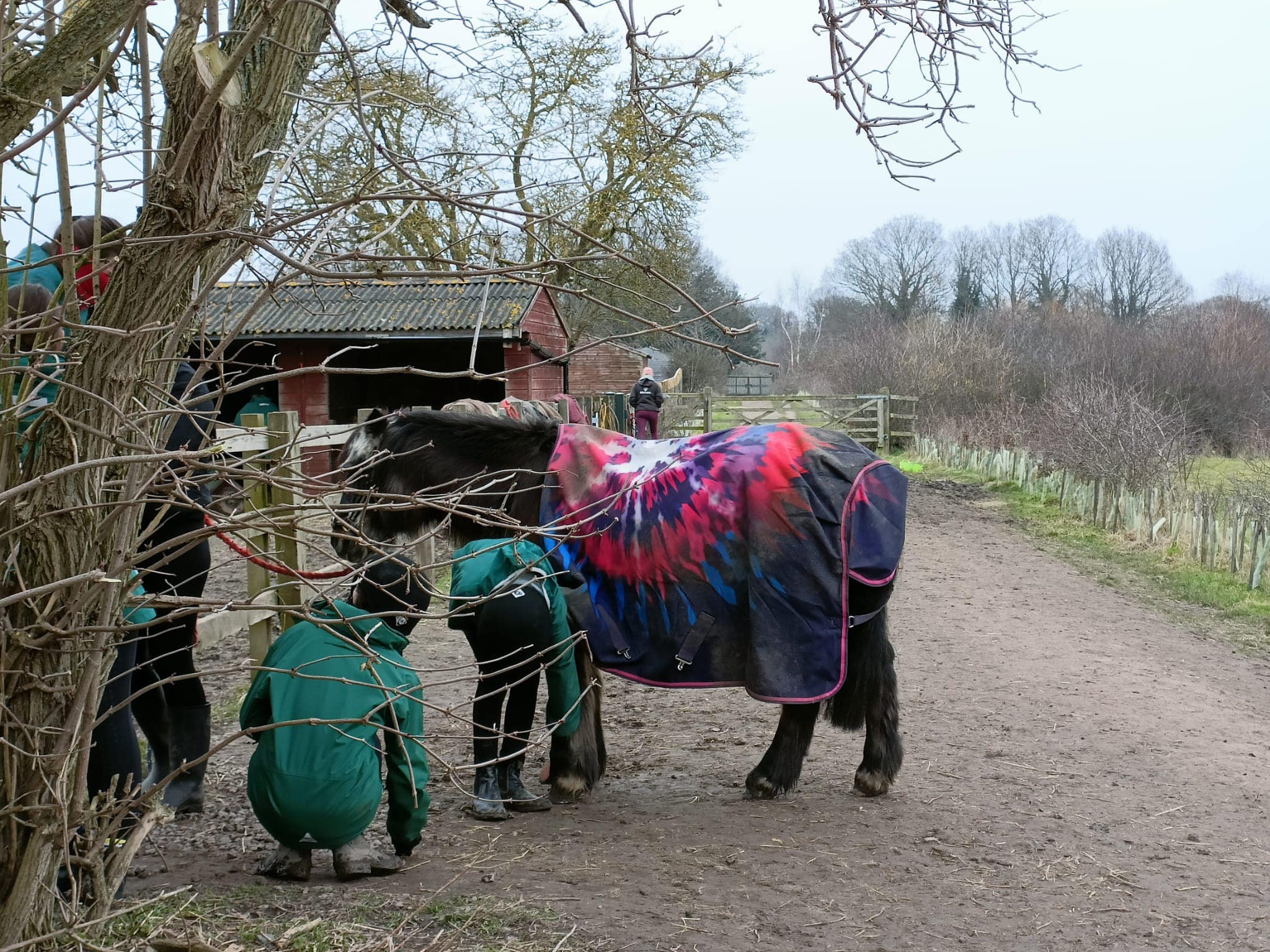 Horse Rangers Association (Hampton Court)