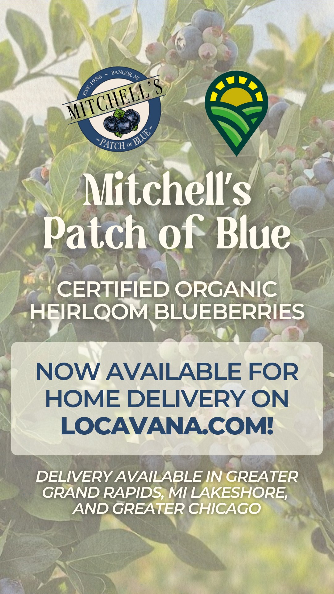 Mitchell’s Patch of Blue | Bangor MI