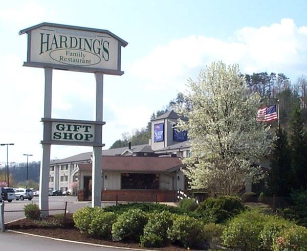 Harding's Family Restaurant Dinner for Singles & 21 Pool Room