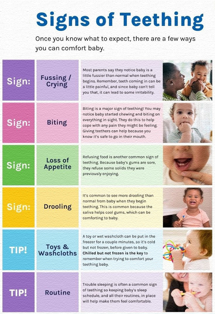 Pregnancy - 🦷👶 Is Your Baby Teething? Here Are the Common Signs! 💖 ...