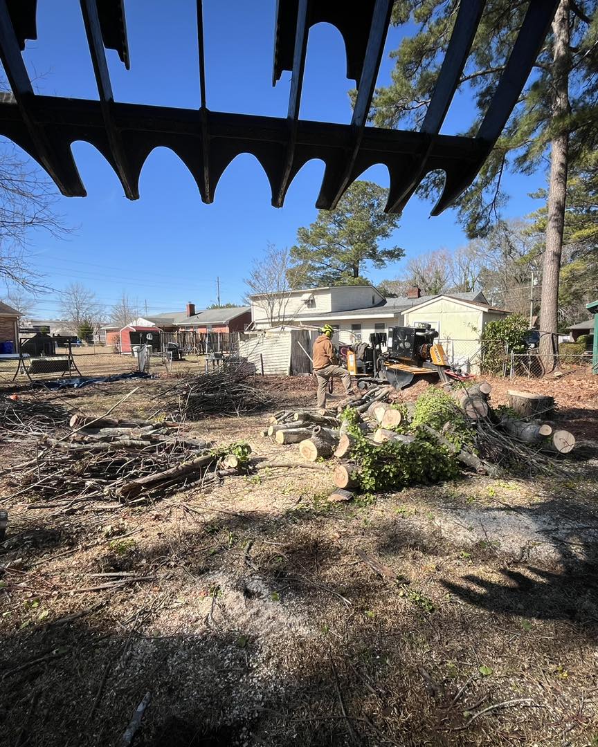 Ultimate Tree Service | Greenville NC