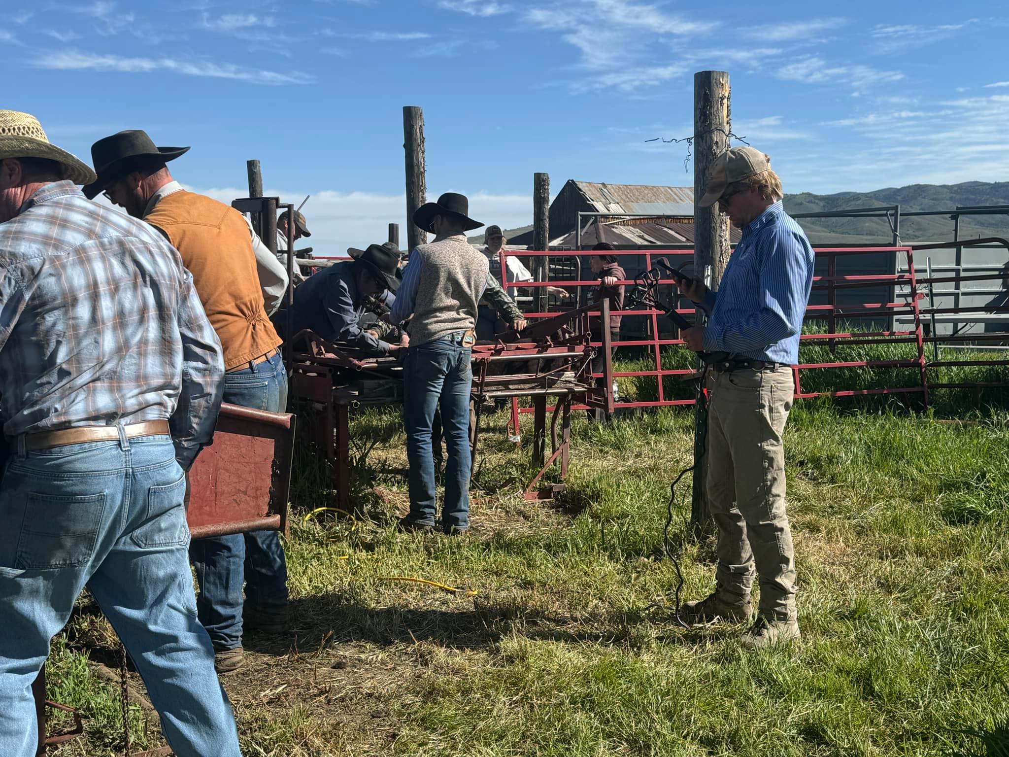 Condict and Sons Cattle Company