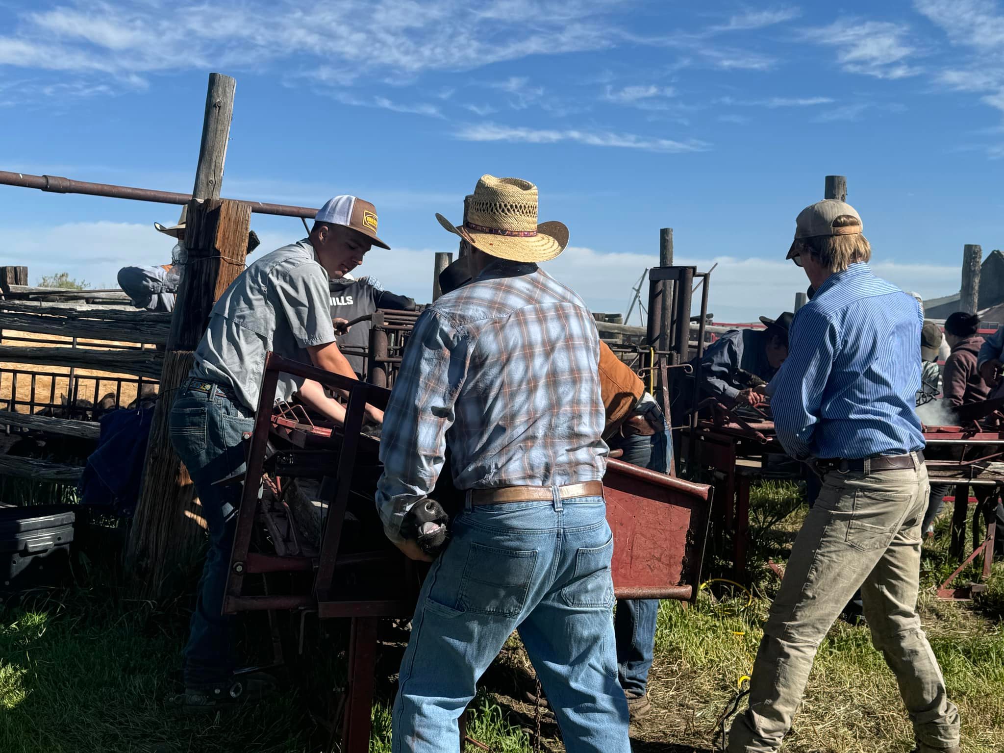 Condict and Sons Cattle Company