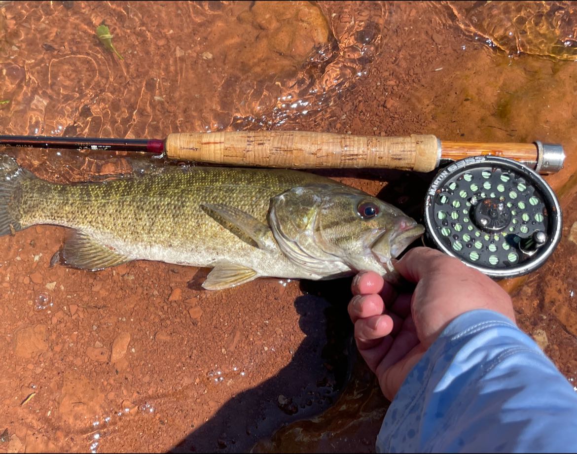 classic finwik fishing pole Fenwick World Class Ice Spinning Rod 31" Light Fenwick World Class Ice rods are truly in a class of their own I picked up a Fenwick