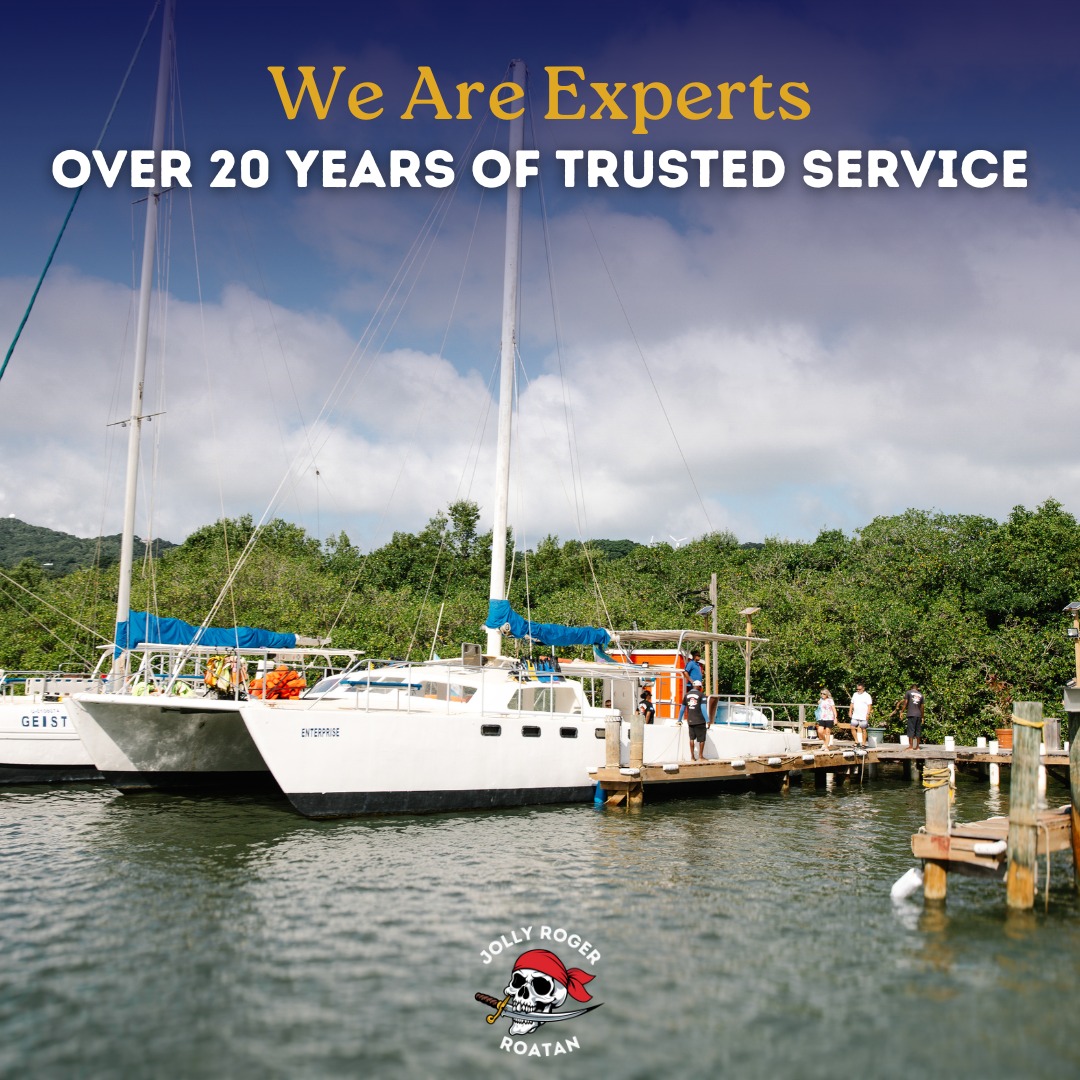 Jolly - 🏖️ Experience, service, and adventure: Jolly Roger’s promise ...