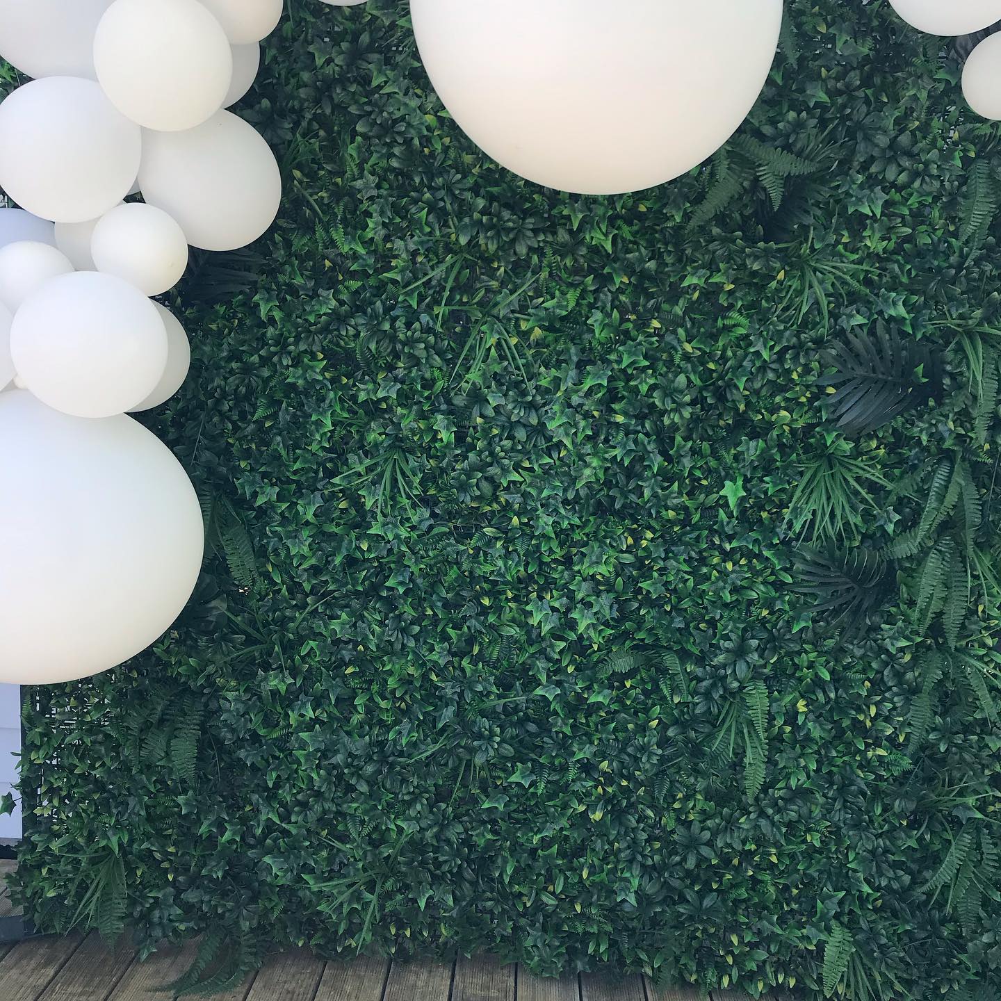 All Out Backdrops