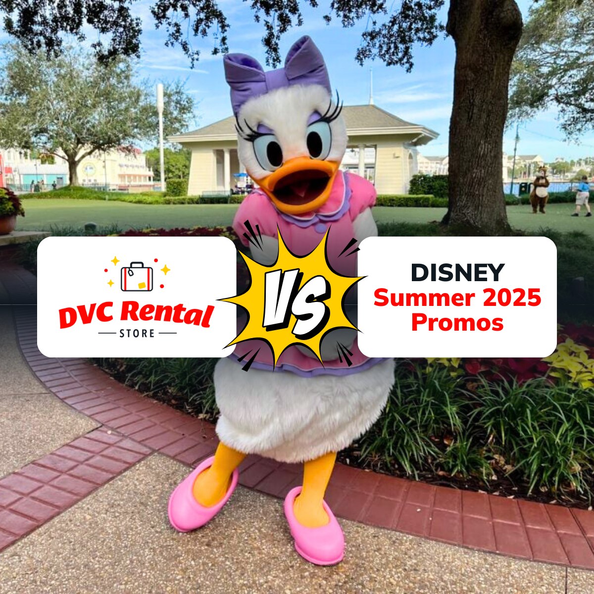 DVC Rental Store 🥊 VERSUS 🥊 Disney... - DVC Rental Store | Facebook