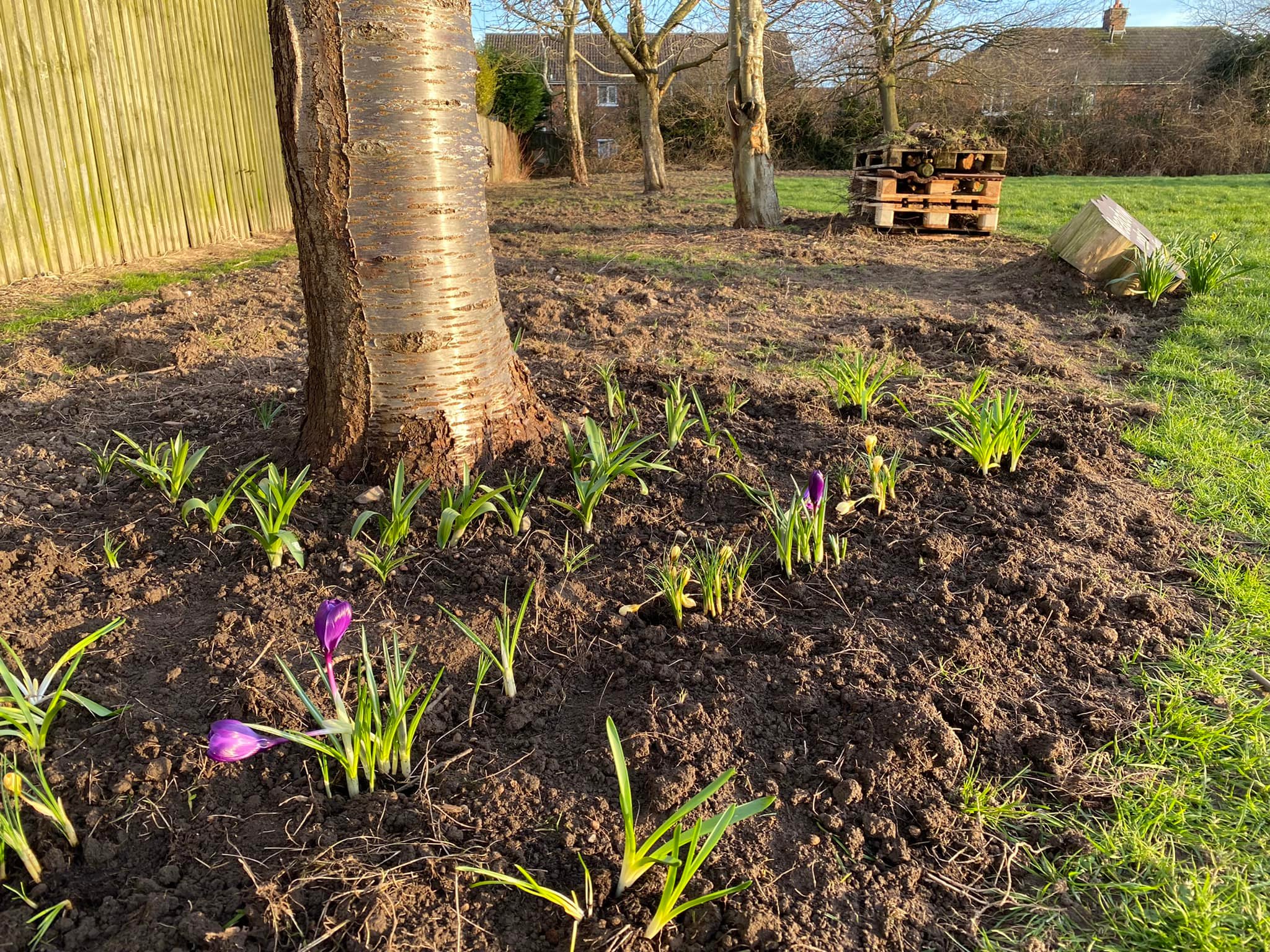 pipers-court-community-park-chester