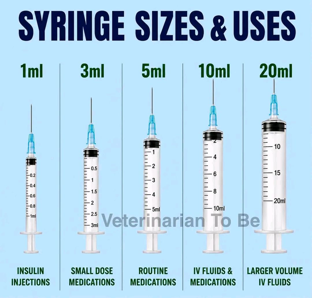 What are the guidelines for choosing insulin syringe sizes and gauges?
