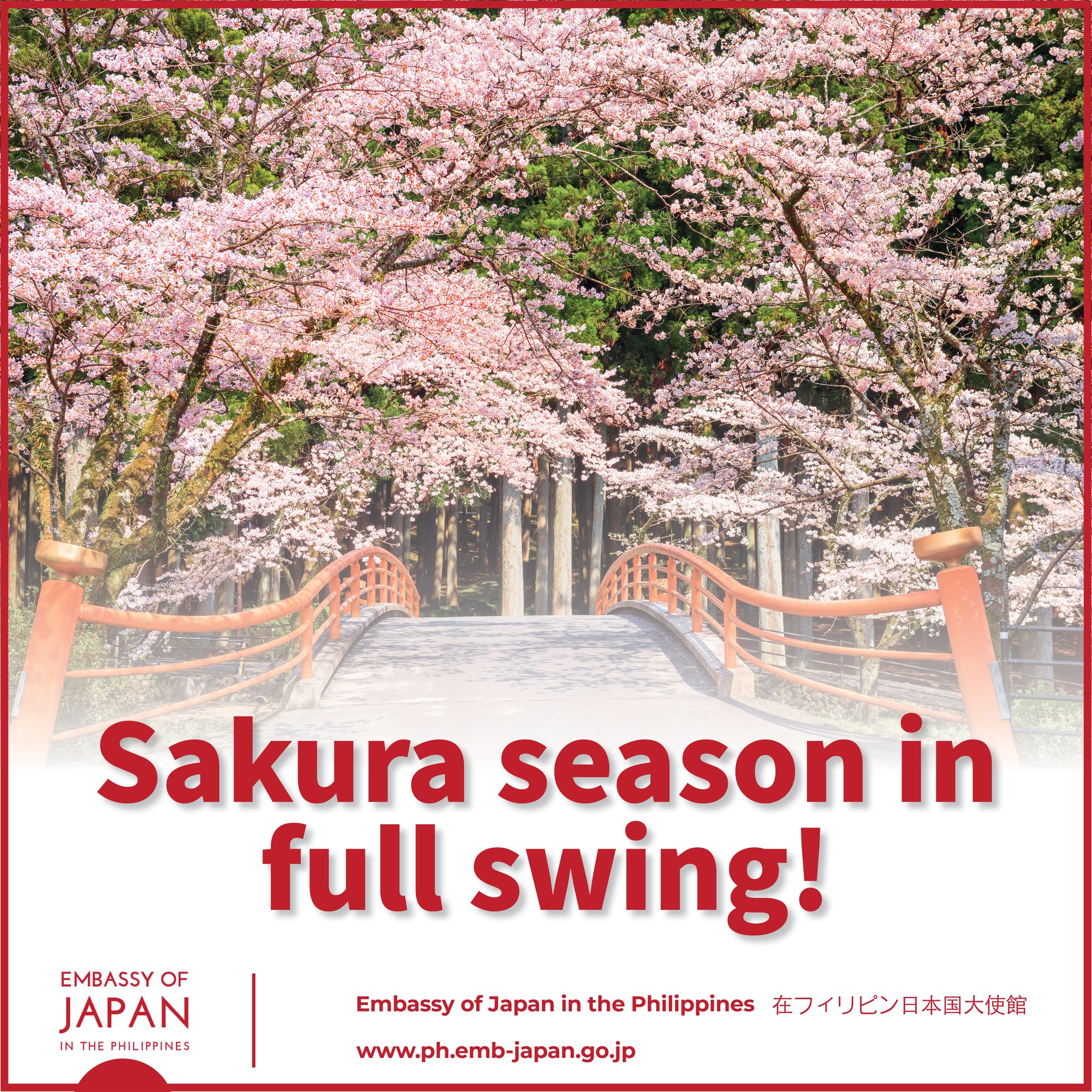 Springti... - Embassy of Japan in the Philippines 在フィリピン日本国大使館 | Facebook