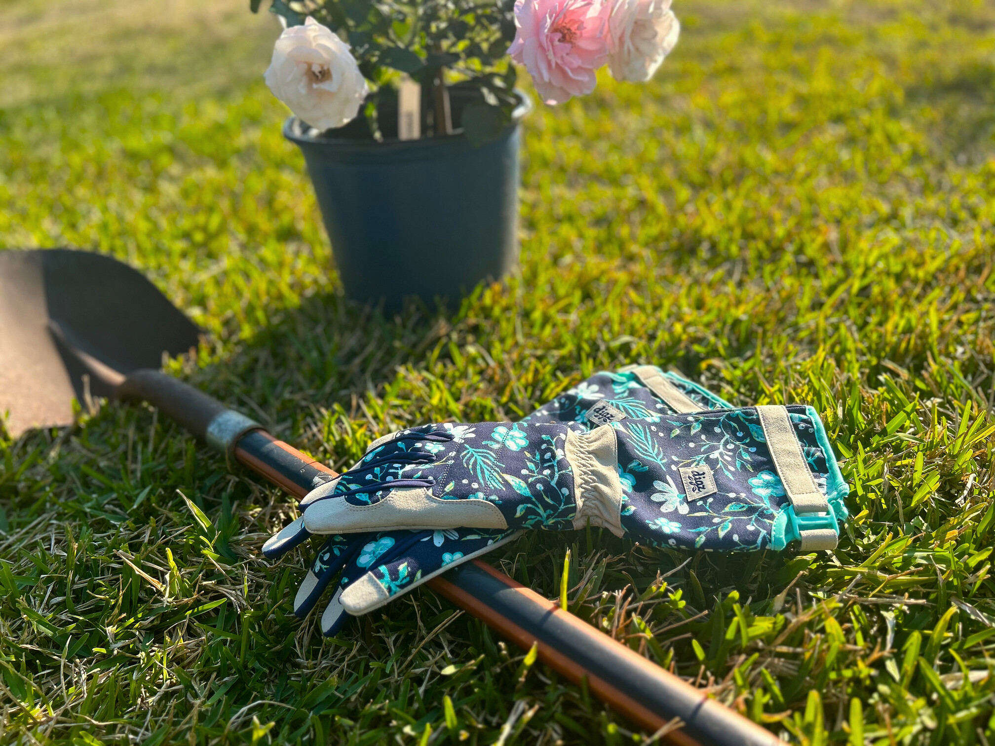 Digz Gardening - 🌹 Say goodbye to thorny trouble! Our Rose... | Facebook