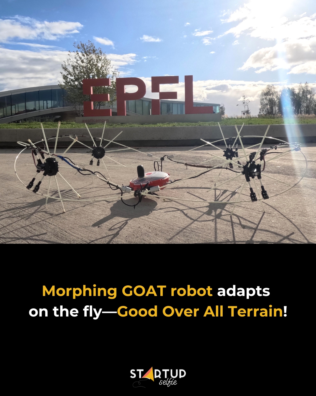 Startup - Researchers at EPFL have developed a bioinspired robot called ...