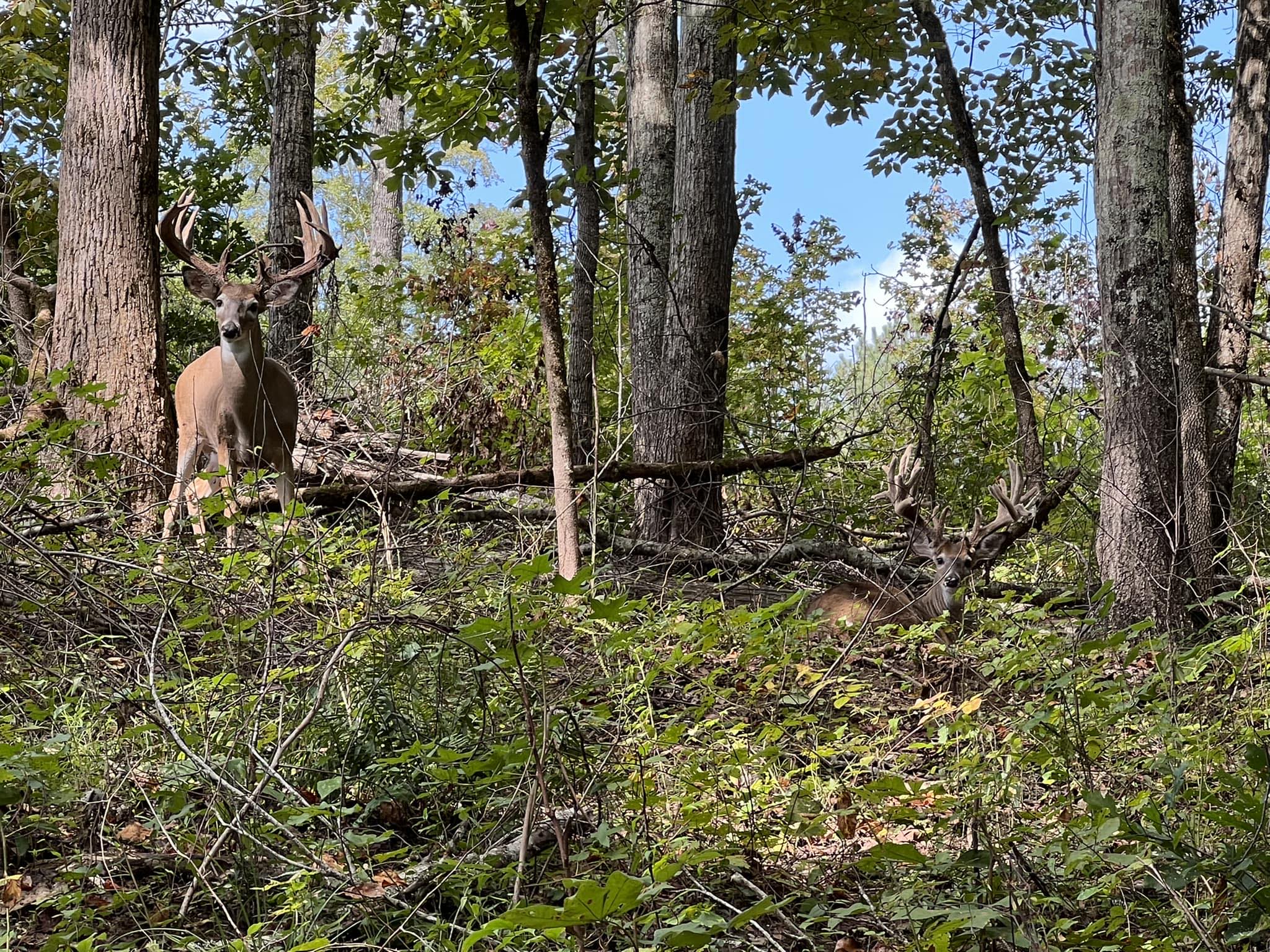 Shadow Ridge Lodge LLC | Five Points AL