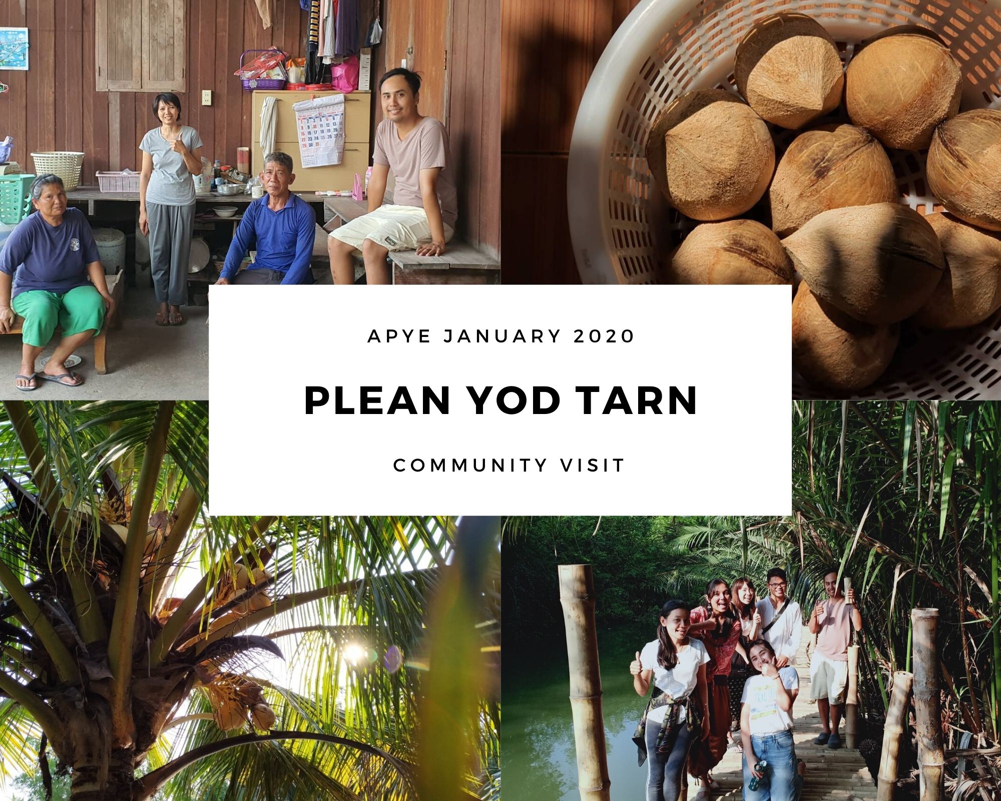 APYE THAILAND :... - Asia Pacific Youth Exchange - Thailand | Facebook