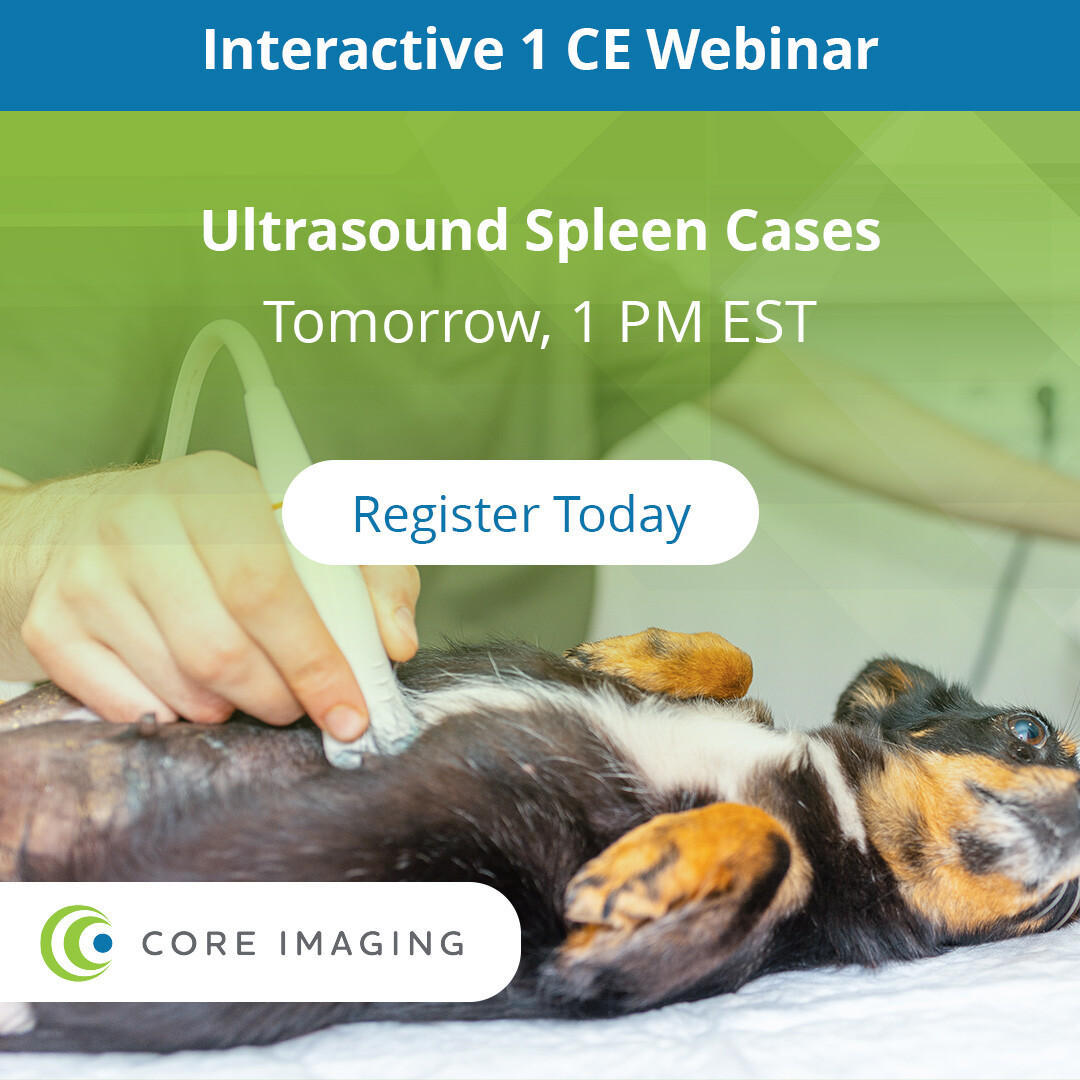 Core Imaging | Grand Rapids MI
