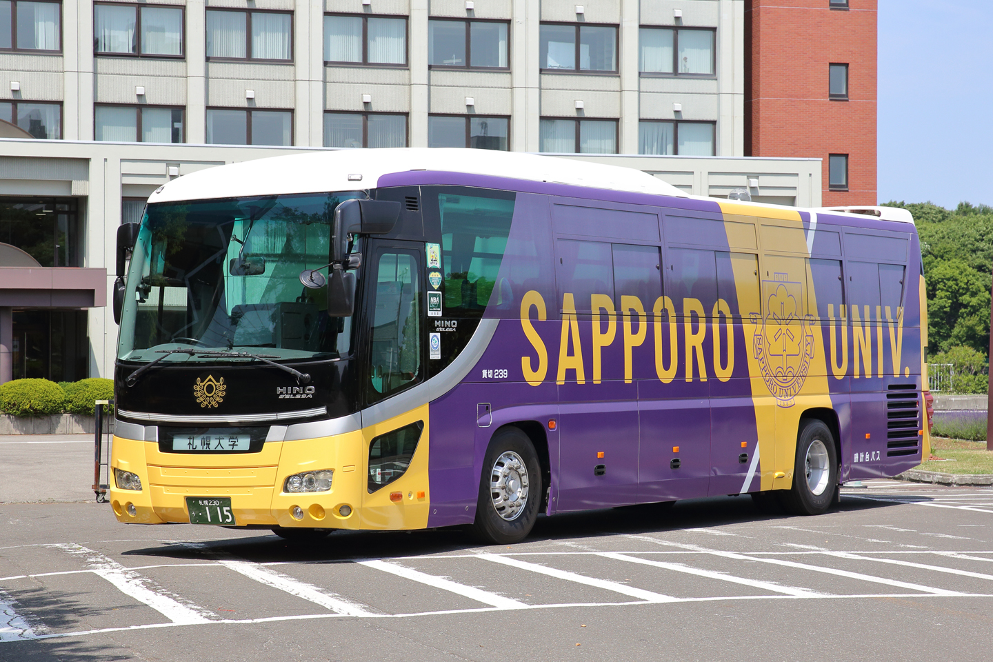 活動歴および当時の関連ビジュアル記録