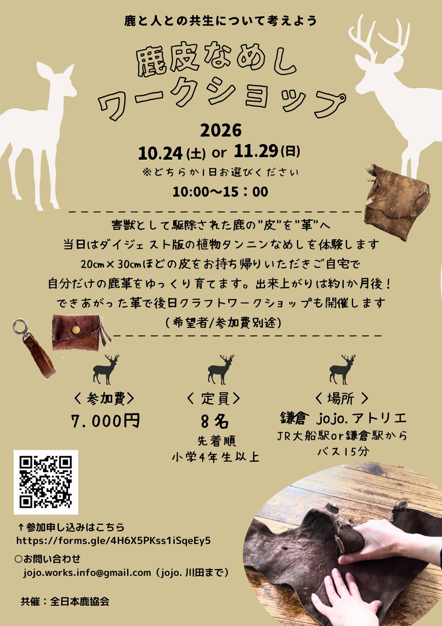 日本鹿の角　5対(10本)　まとめ売り