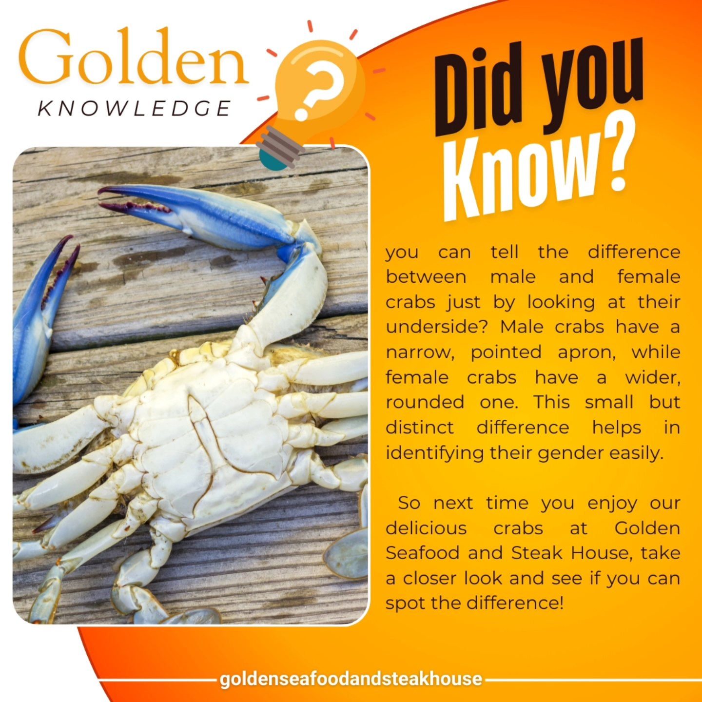 Golden Seafood and Steak House - Did you know that you can tell the ...