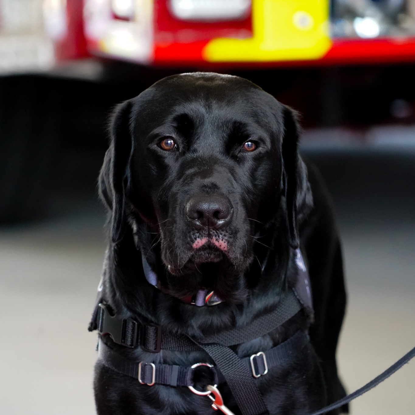 Fayetteville Fire Department | Fayetteville NC