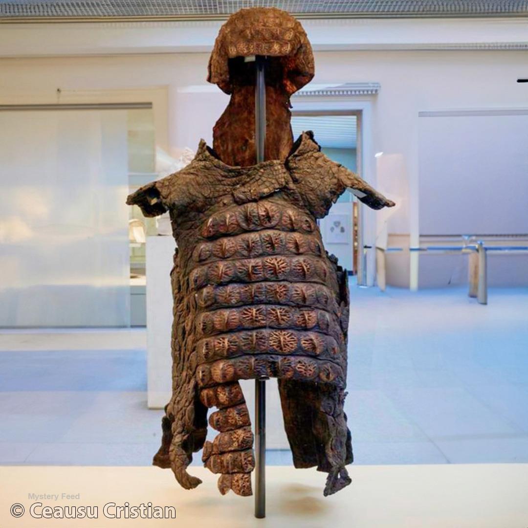 Dive into the fascinating realm of Roman crocodile armor from the 
