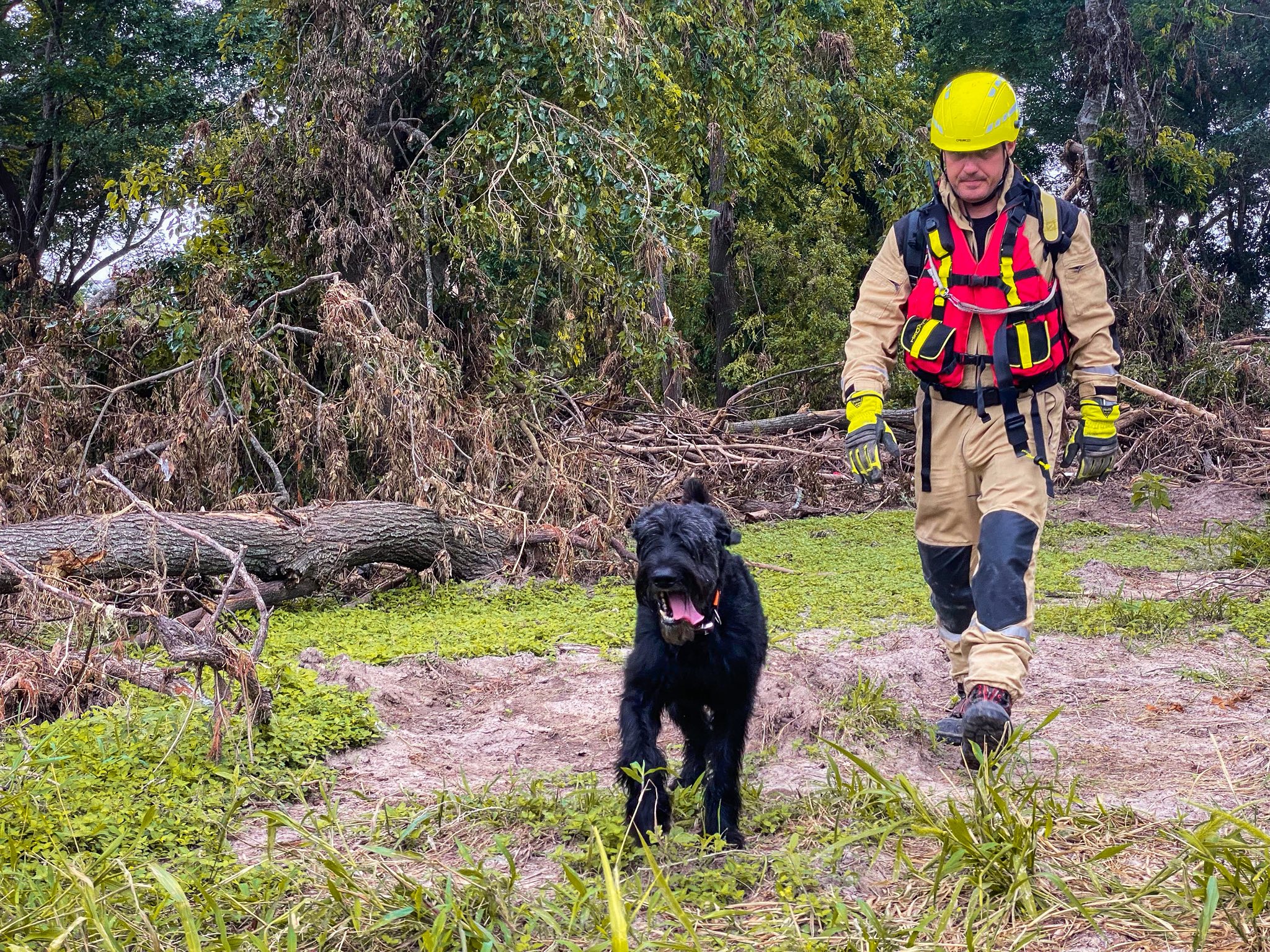 🇨🇿👨‍🚒 Čeští hasiči se vrací z... - Hasičský záchranný sbor ČR | Facebook