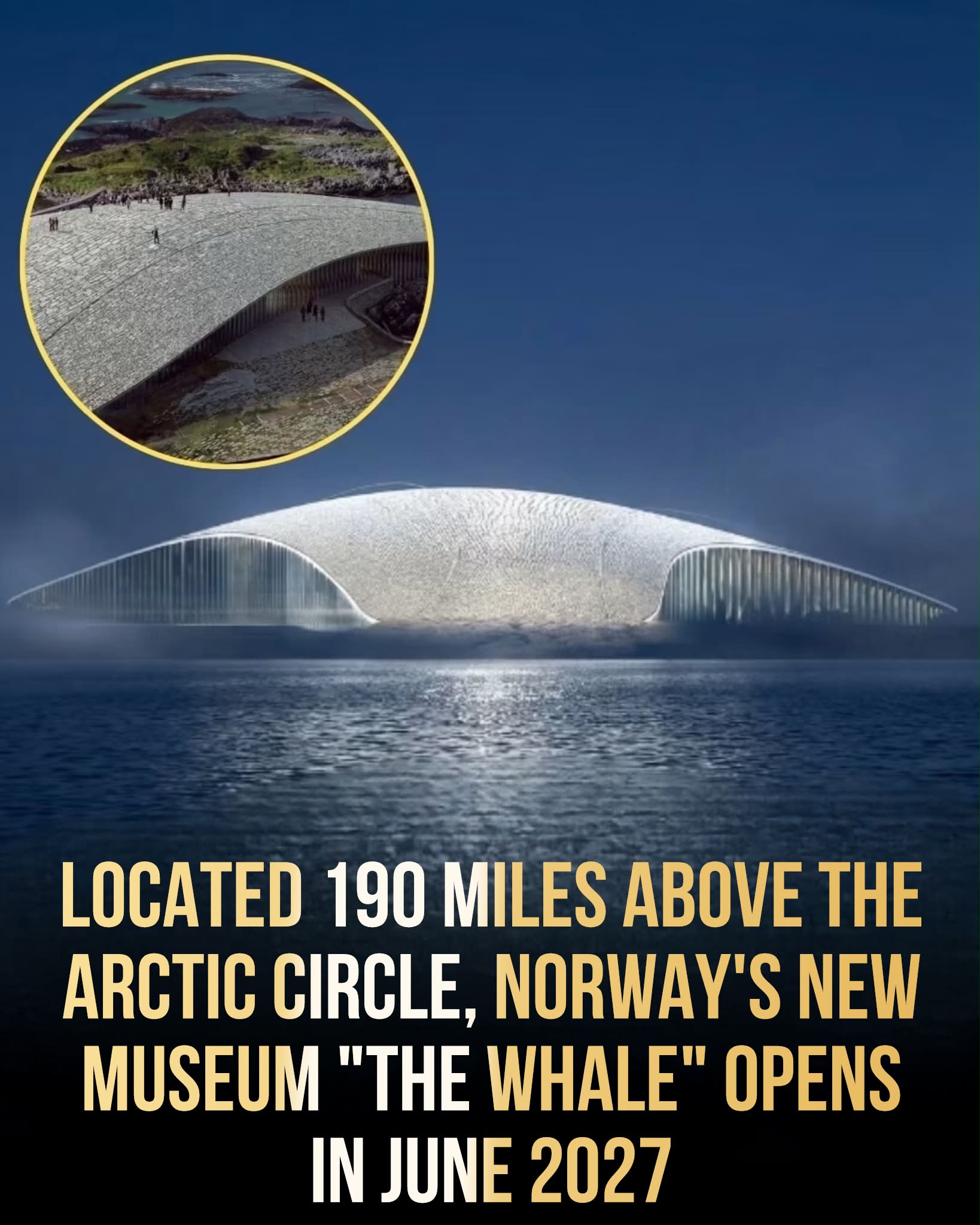 SHARKS&WHALES REAPED BY MAN 北欧メロハー,AOR The Whale Museum in Norway Opens June 2027