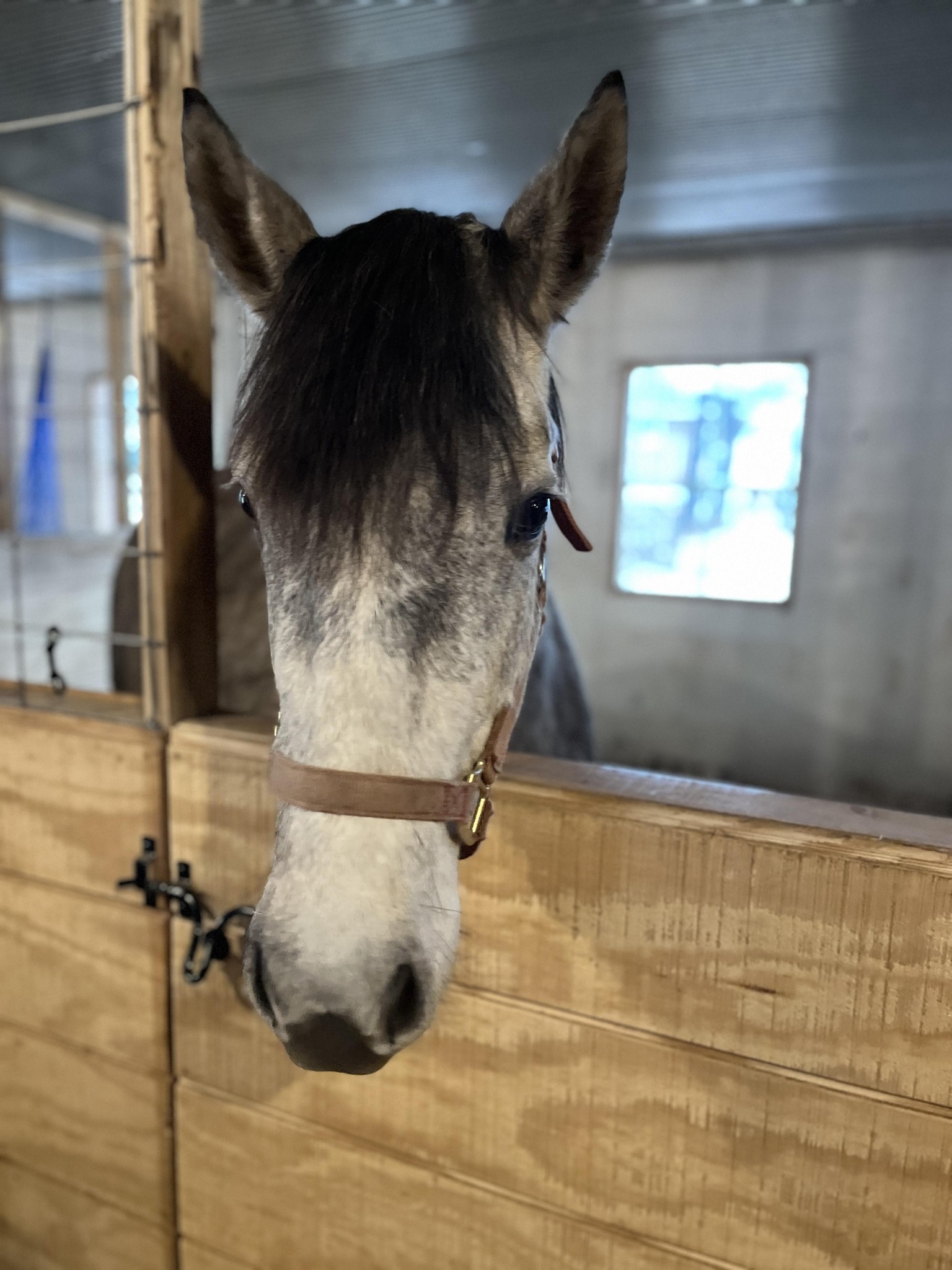 The Barn at Windfall Farm | Mount Airy NC
