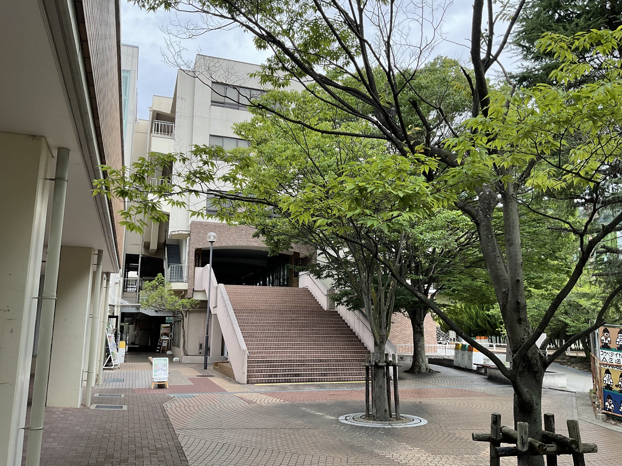 神戸 大学 大学院 国際 文化 学 研究 科