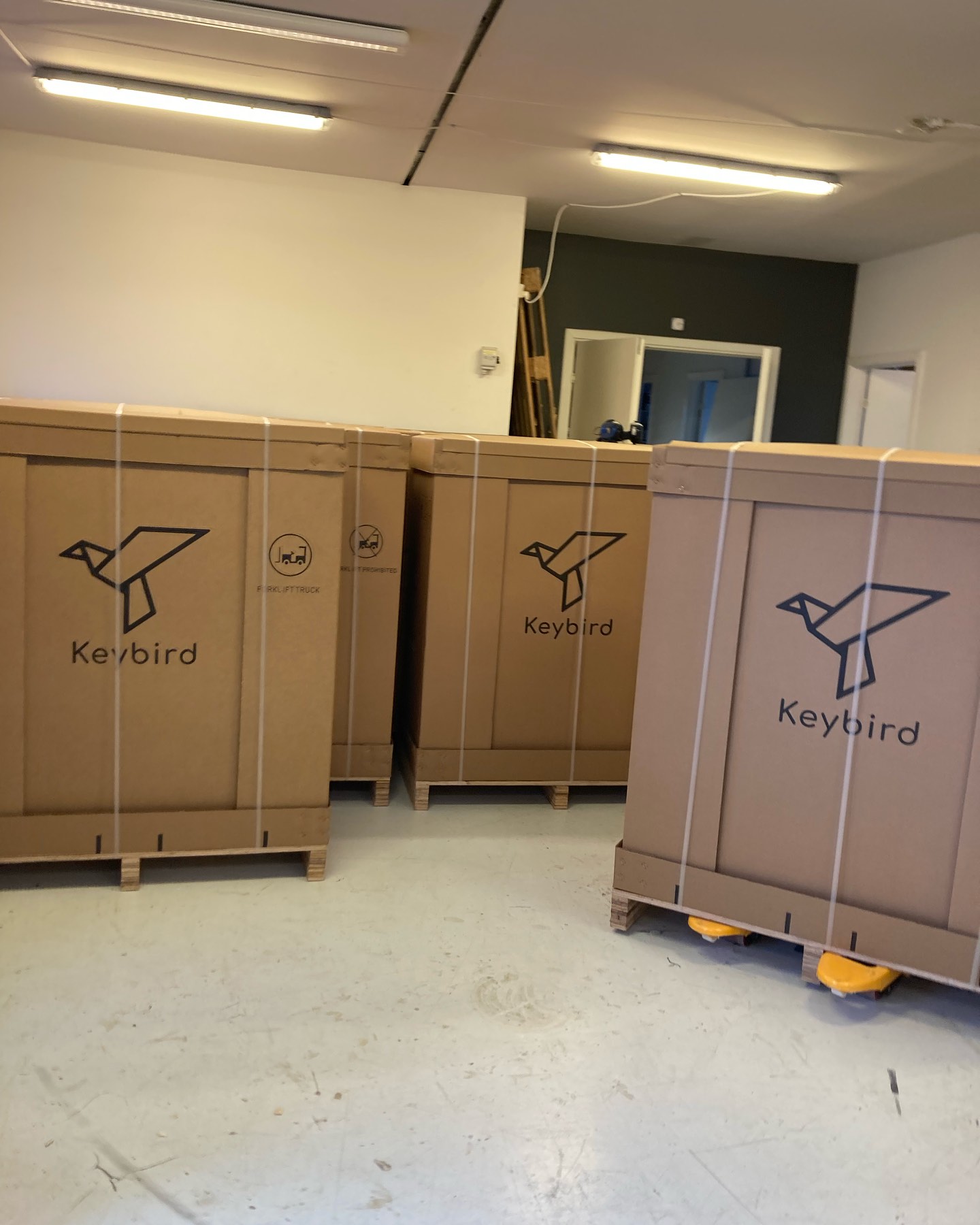 Keybird Instruments