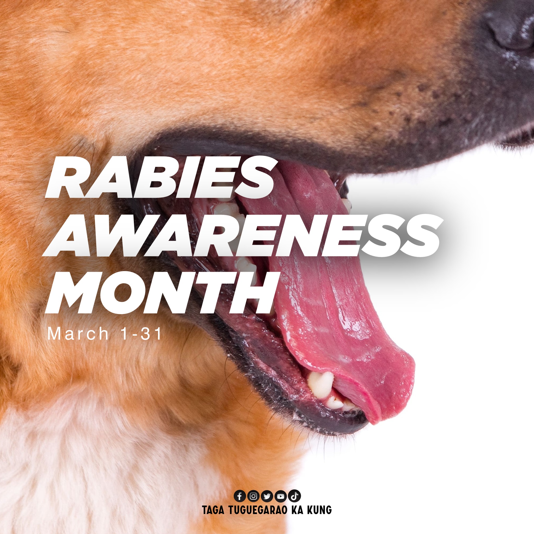 Taga - MAKI-ISA SA PAG-IWAS SA PAGKAKALAT NG RABIES 🐾 Ngayong Rabies ...