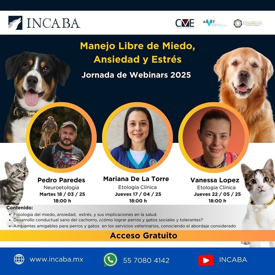 Incaba Servicios Profesionales | Iztacalco