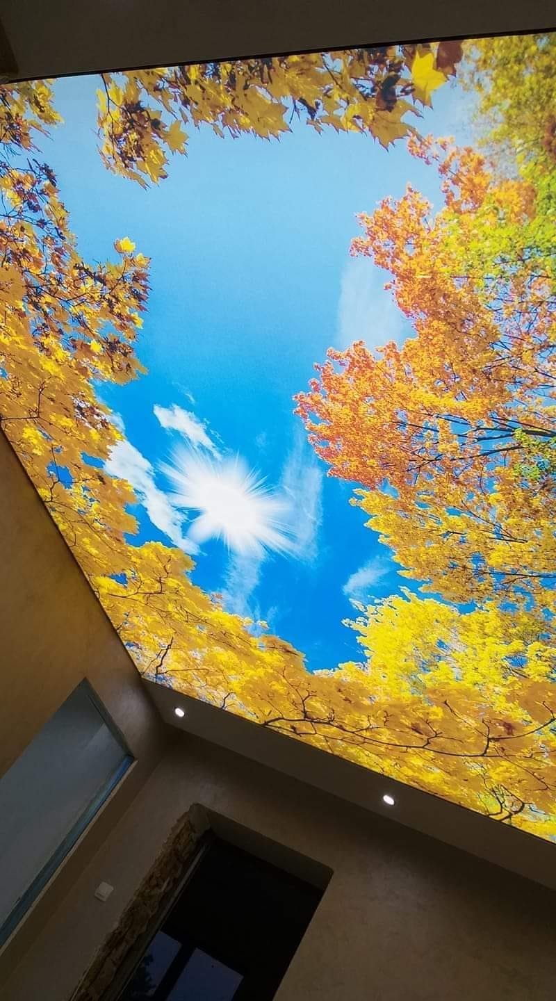 Ion Tavane Extensibile | Chisinau