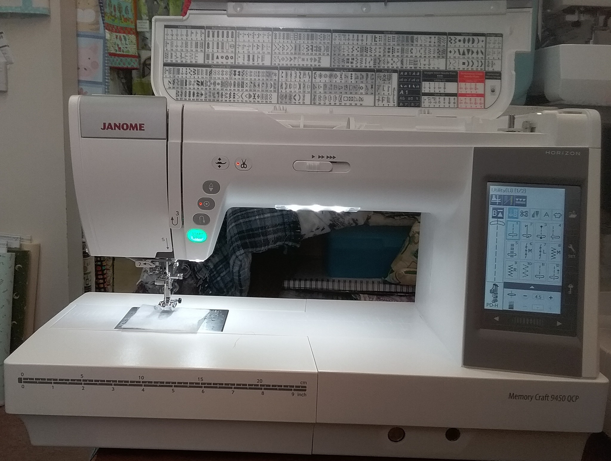 Fair price for 12 year old janome 8900?