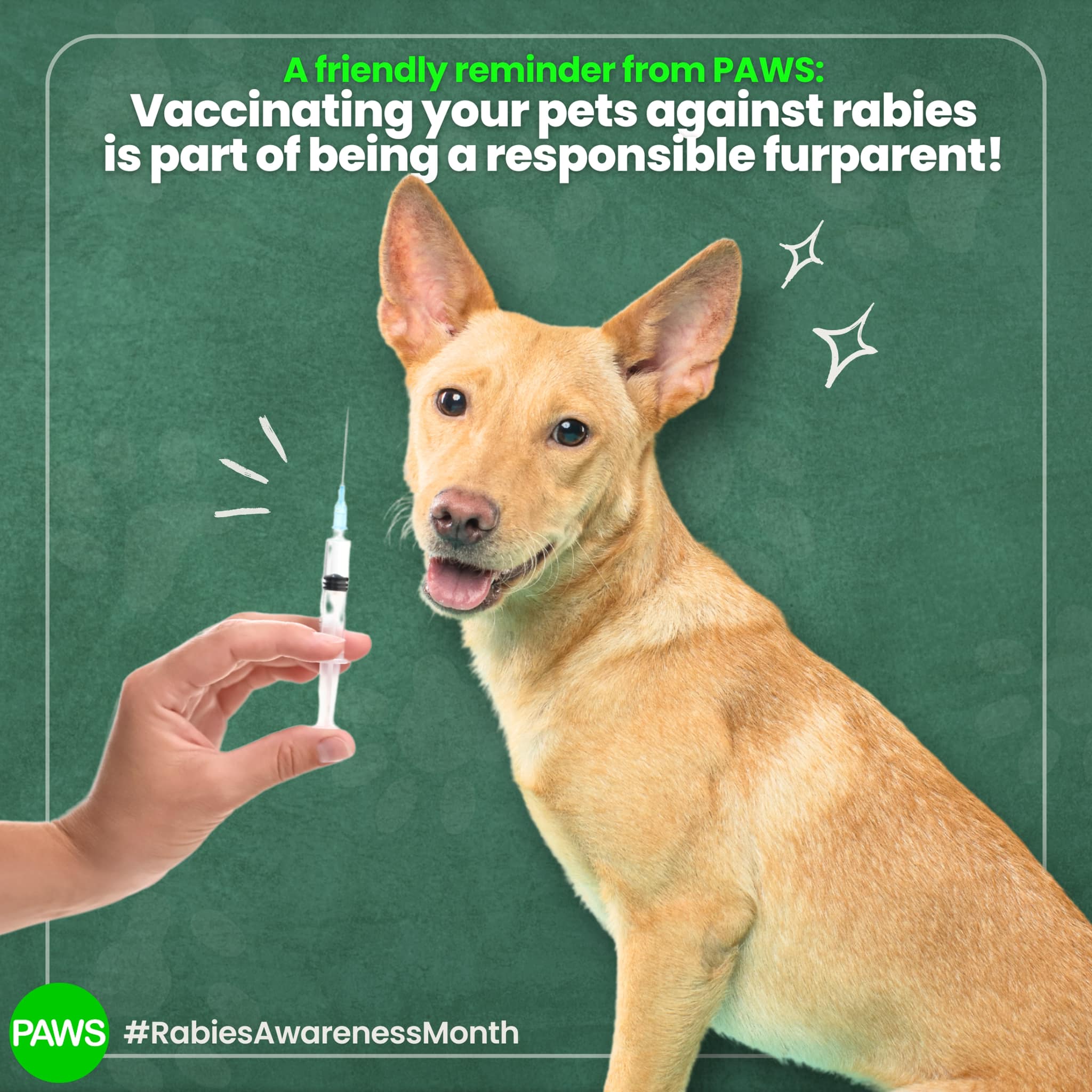 Philippine - March is Rabies Awareness Month, and PAWS wants to remind ...