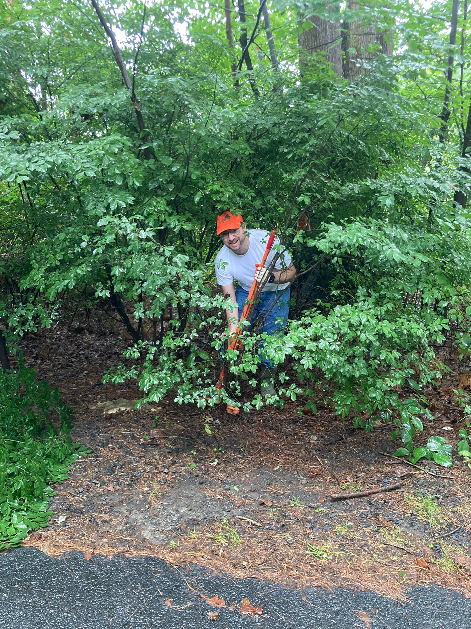 Volunteer Reston | Reston VA