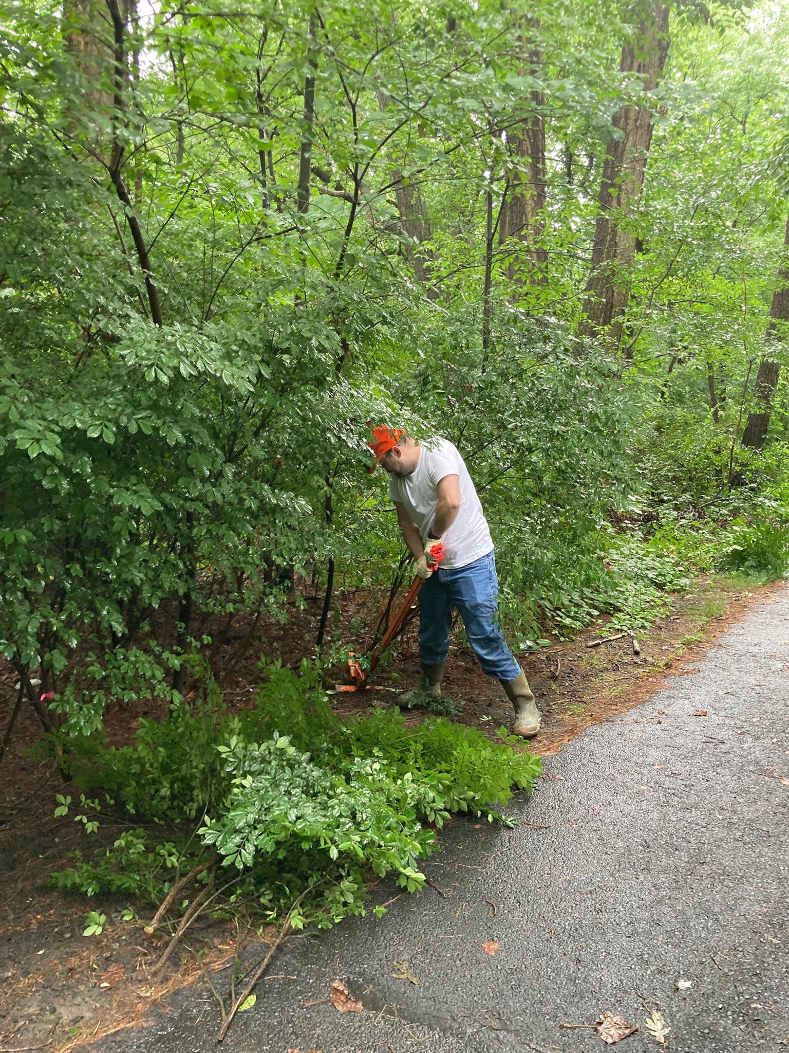 Volunteer Reston | Reston VA